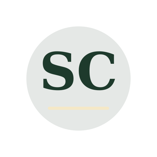 Sani Chimney Repair logo